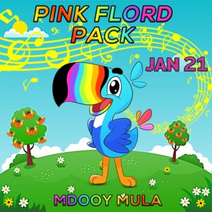 Pink Floyd Album Cover